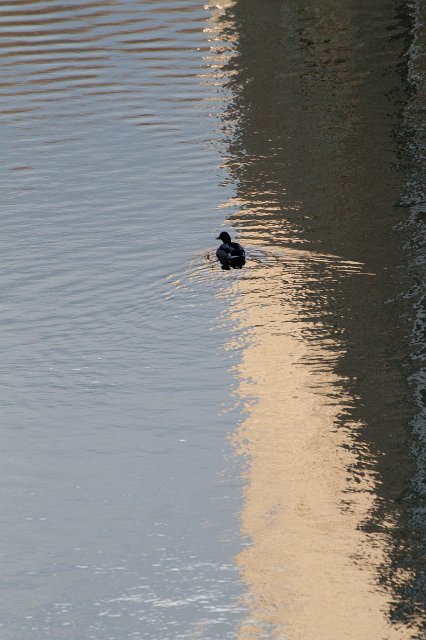 IMG_3610.jpg