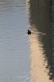 IMG_3610