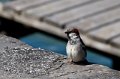 IMG_5166