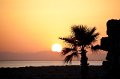 IMG_6249