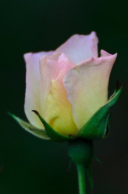 DSC_20111005_1879.jpg