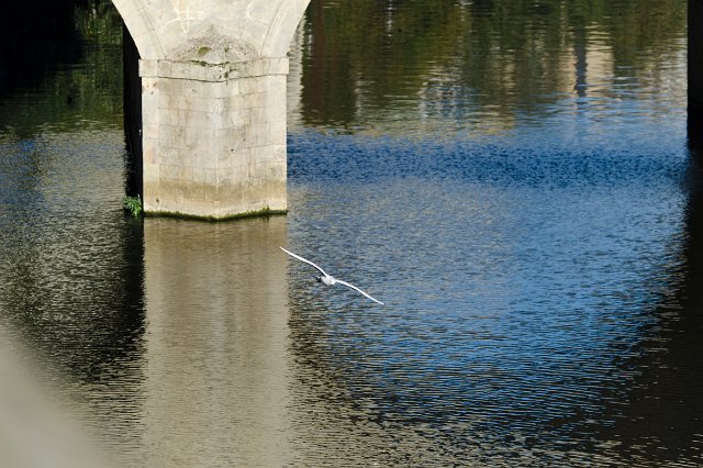 DSC_20111022_3903.jpg