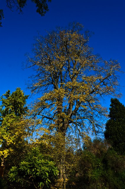 DSC_20111106_5980.jpg