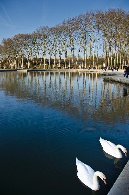 DSC_20111113_7181.jpg