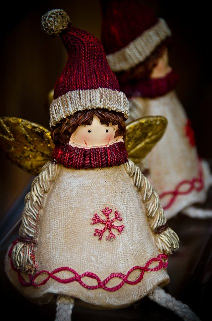 DSC_20111127_7665.jpg