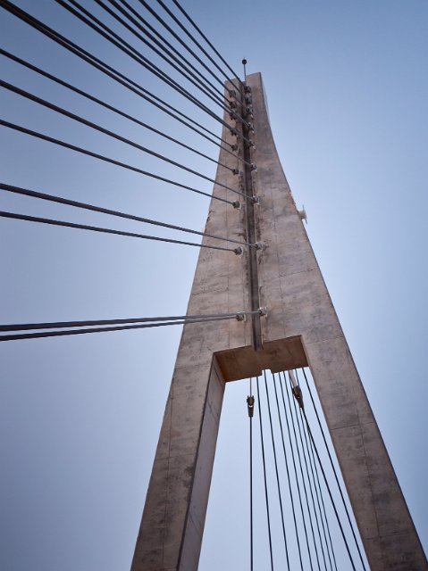 _1010835.jpg