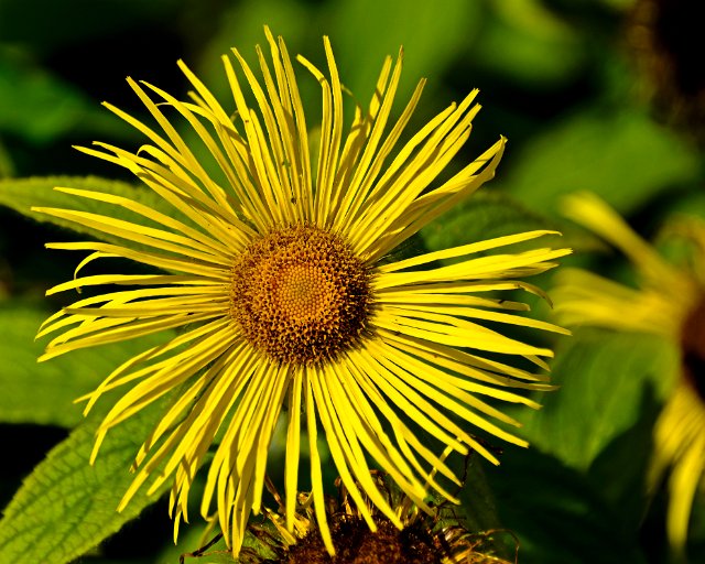 _DSC0297_edited-1.jpg