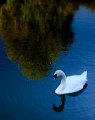 DSC_20111002_1684-2