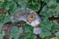 DSC_20111014_2871