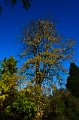 DSC_20111106_5980