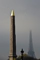 DSC_20111115_6438