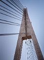 _1010835