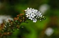 _DSC0288_edited-1