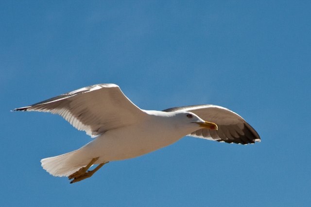 _MG_2821.jpg