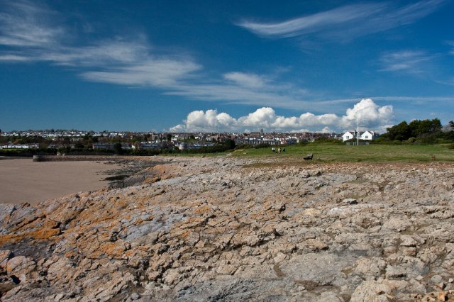 _MG_2943.jpg