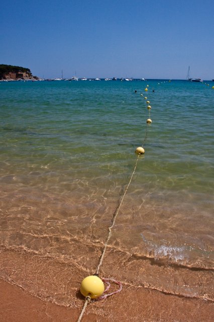 _MG_6279.jpg