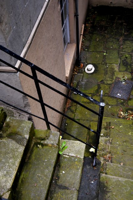 DPP_0121.JPG