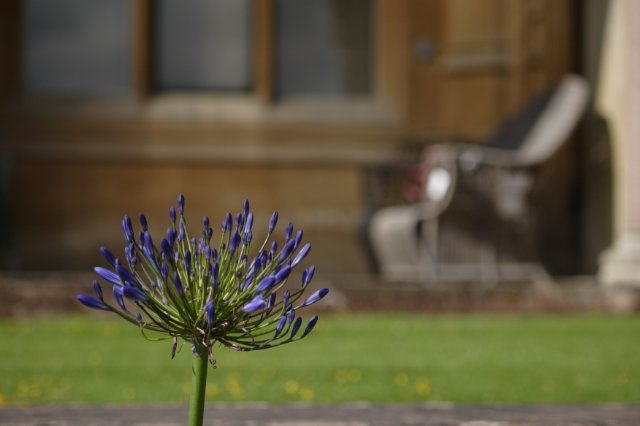 DPP_0438.JPG