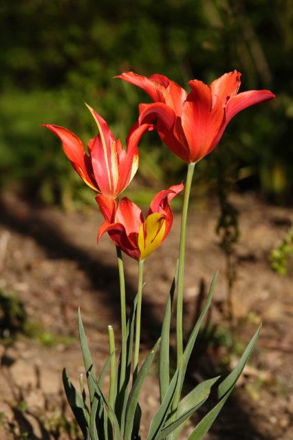 DPP_11507.JPG