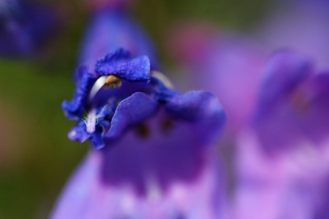 DPP_13731.JPG