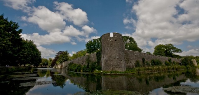 IMG_2511.jpg