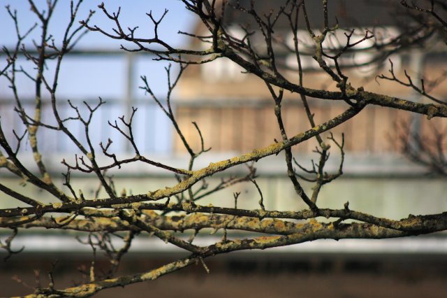 IMG_7592.JPG