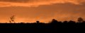 CRW_1515