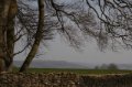 IMG_9938
