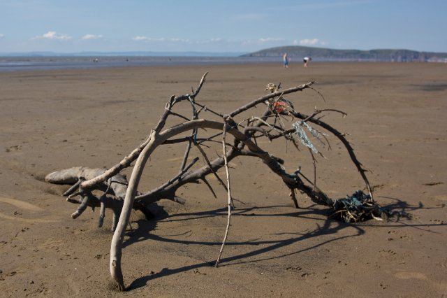 _MG_1026.jpg