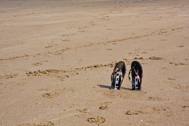 _MG_1379.jpg