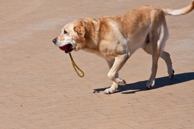 _MG_2879.jpg
