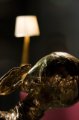 _MG_1477