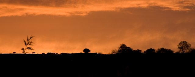CRW_1515.jpg
