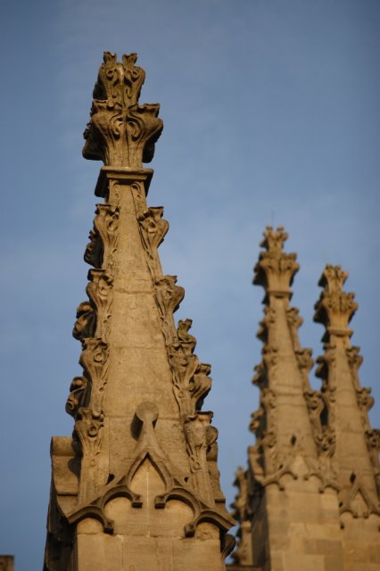 DPP_11591.JPG