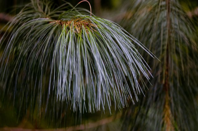 IMG_3752.jpg