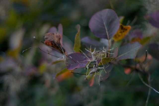 IMG_5838.jpg
