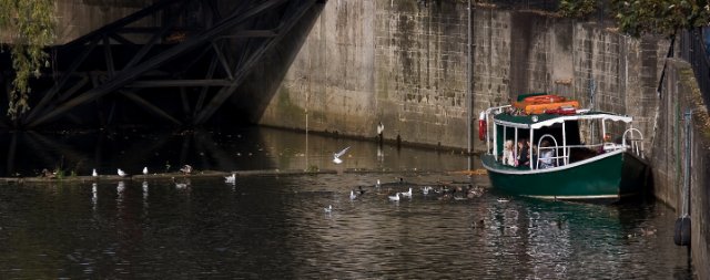 IMG_6192.jpg