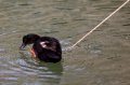 IMG_0171