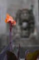 IMG_3572