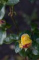 IMG_5819