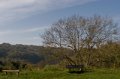 IMG_5922