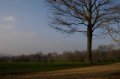 IMG_7069